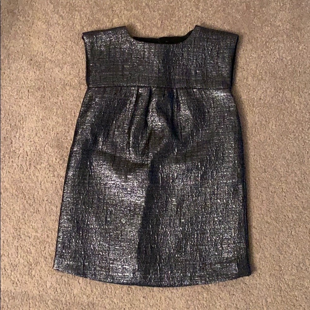 Baby Gap Metallic Dress